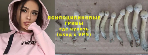 ешки Лиски