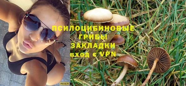 ешки Лиски