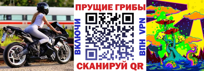 Псилоцибиновые грибы MAGIC MUSHROOMS  нарко площадка как зайти  Новоульяновск 